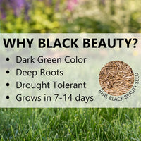 JONATHAN GREEN 10324 BLACK BEAUTY ULTRA 50 LB
