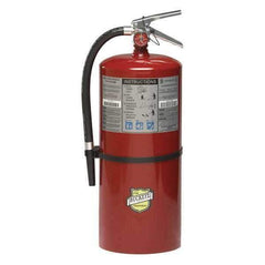 Buckeye 12120 ABC dry chemical fire extinguisher, 20lb, ready for emergency use, with pressure gauge and safety pin visible
