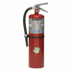 Buckeye 11340 10 lb ABC dry chemical fire extinguisher with safety hose and pressure gauge for quick emergency response.