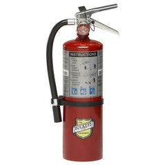 Buckeye 10914 5 lb ABC dry chemical fire extinguisher with pressure gauge and safety pin for fire safety.