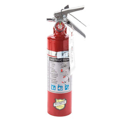 Buckeye 2.5 lb ABC dry chemical fire extinguisher with handle and pressure gauge, ready for emergency use.