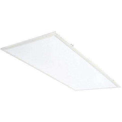 Rab Lighting EZPAN2X4-40N/D10 LED Panel Light - Wholesale Home Improvement Products