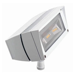 RAB Lighting FFLED18YW Future Flood 18W Warm LED, 120V/277V, White - Wholesale Home Improvement Products