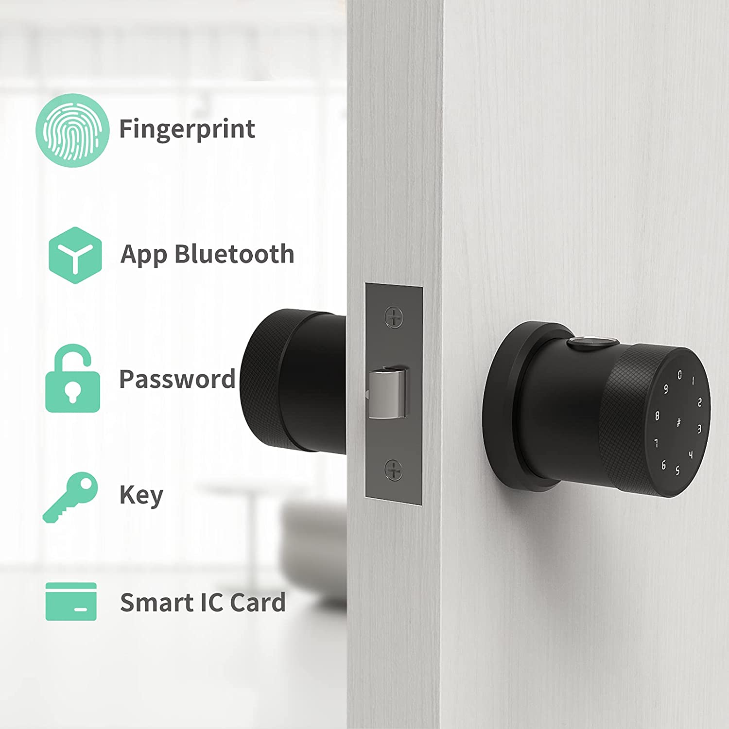 GEEKSMART Smart Door Lock, Fingerprint Door Lock Smart Lock Biometric Door  Lock Fingerprint Door Knob with App Control, Suitable for  Bedrooms,Cloakroom,Apartments Offices,Hotels, Black 