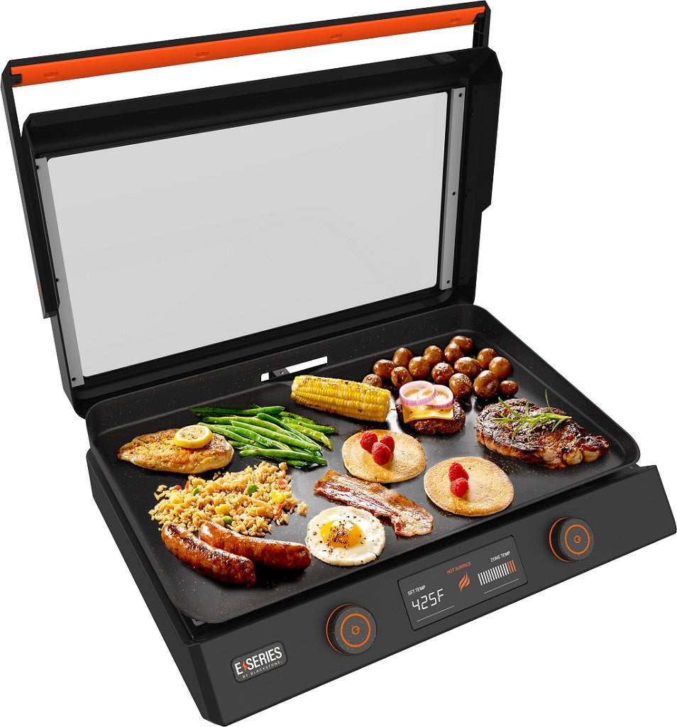 Deluxe Electric Grill & Griddle - Shop