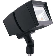 RAB Lighting - FFLED39 Flood Light - 39 Watt LED 5000K 120-277V - Wholesale Home Improvement Products